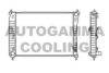 AUTOGAMMA 105043 Radiator, engine cooling